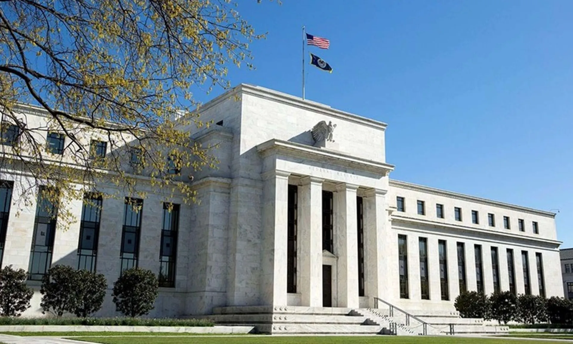 FeD-170525