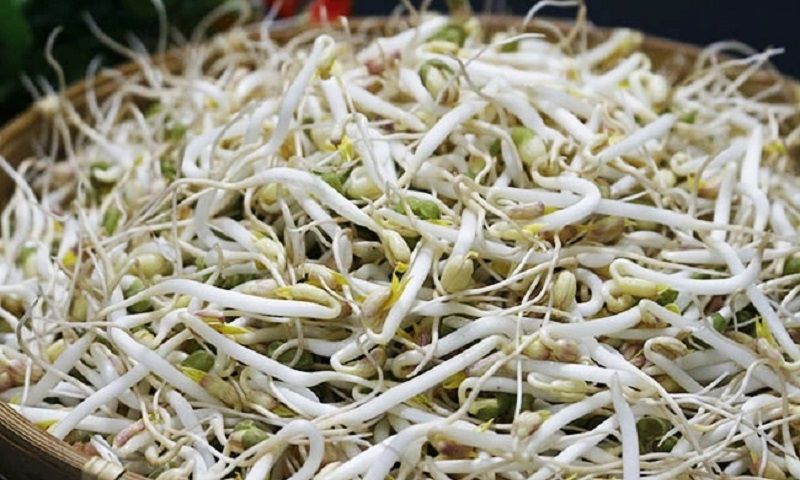 Phát hiện cơ sở ở Bắc Giang bán 60 tấn giá đỗ chứa chất cấm