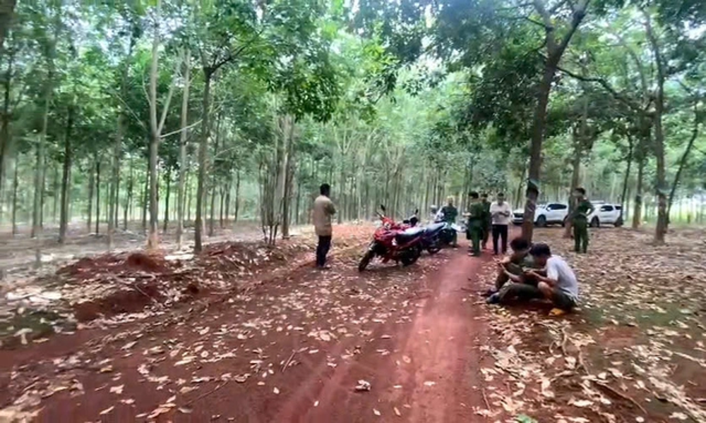 Phát hiện thi thể phân hủy treo lơ lửng tại Bình Phước