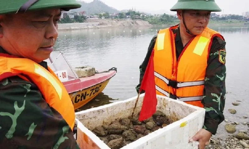 Lực lượng chức năng thực hiện rà phá bom mìn, vật liệu nổ khu vực hạ lưu sông Đà - Ảnh TP