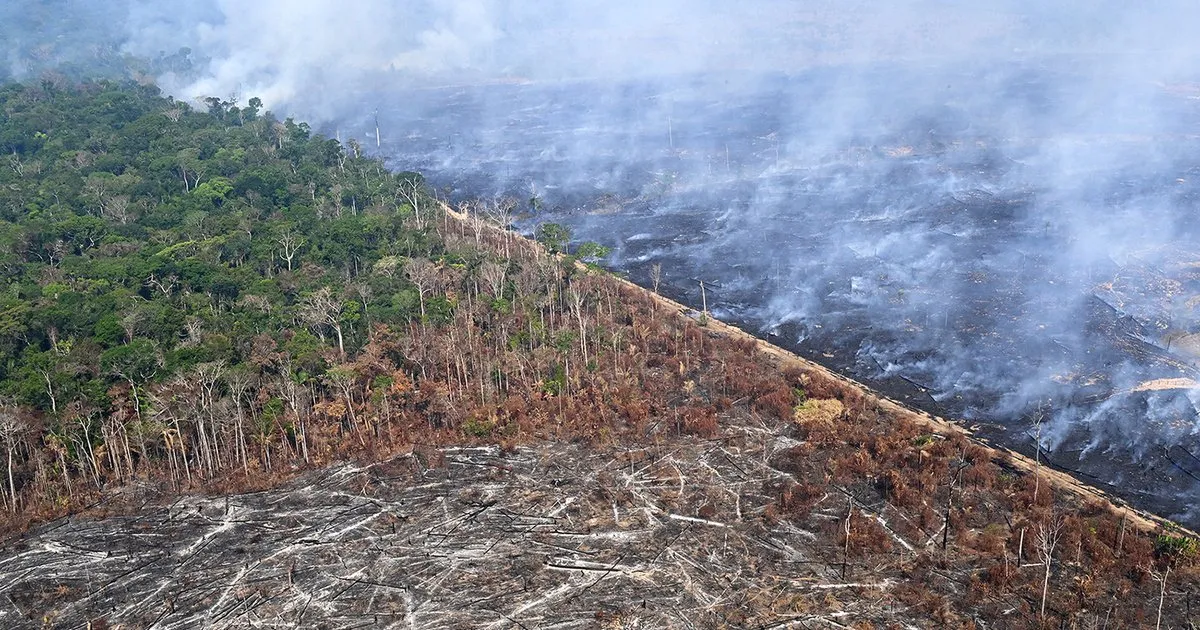 AmazonDeforestation_BG