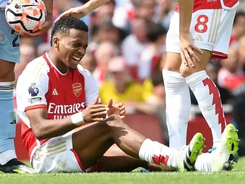 arsenal-timber