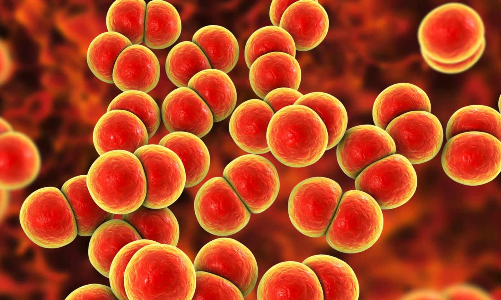 Vaccine phòng bệnh lậu đầu tiên trên thế giới được triển khai tại Anh