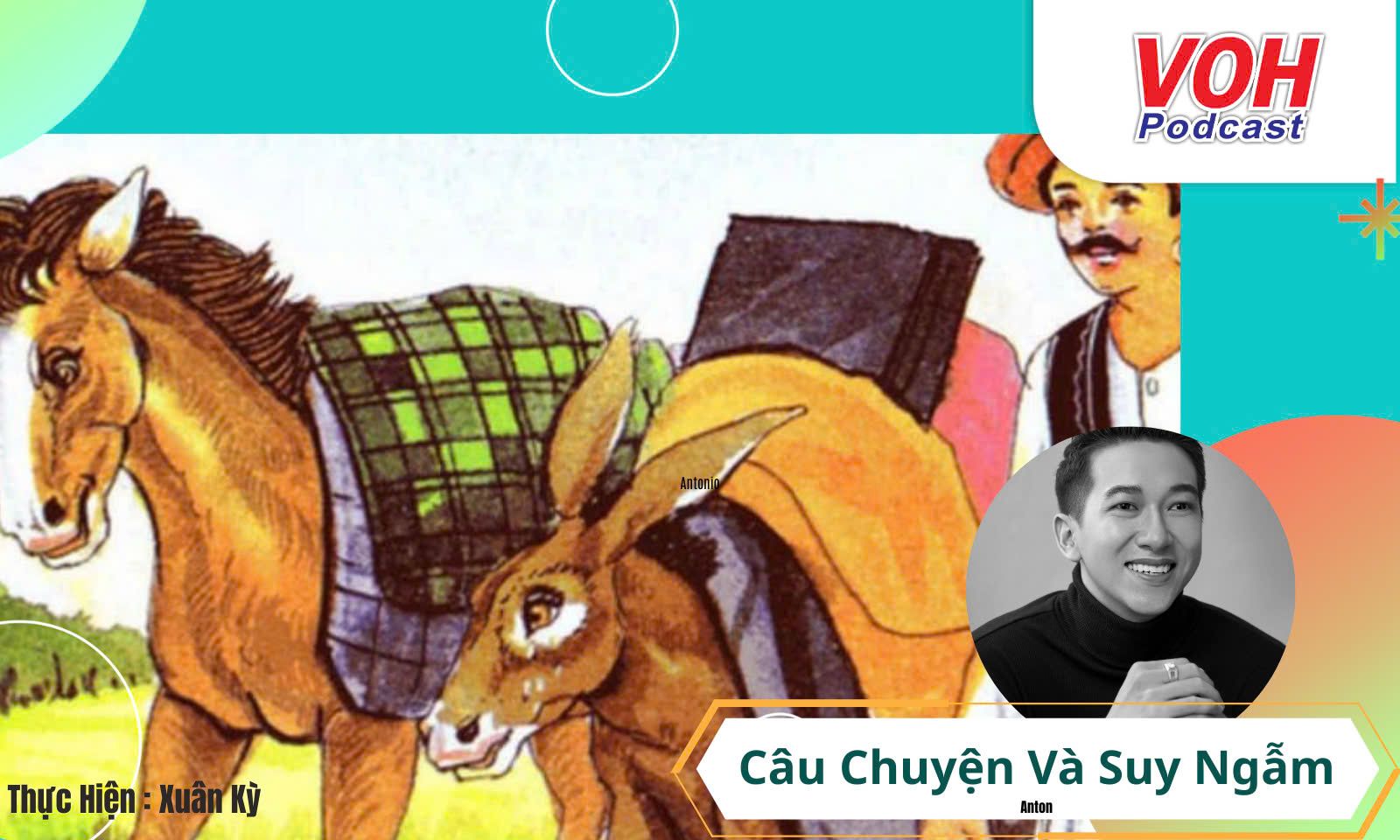 Cánh diều ,dây diều và thông điệp về sự biết ơn người khác