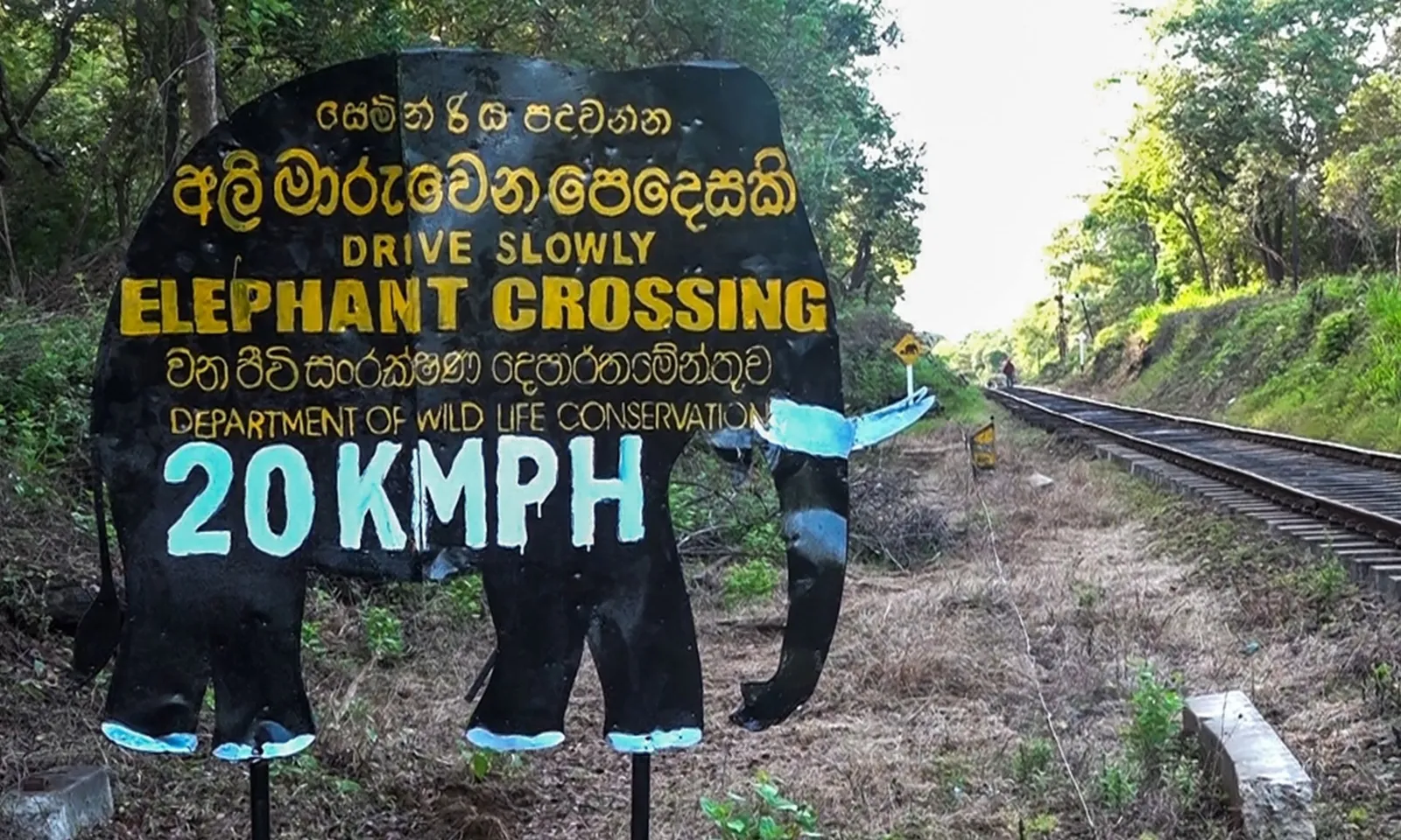 Tàu hỏa tại Sri Lanka lại tông chết voi rồi trật bánh