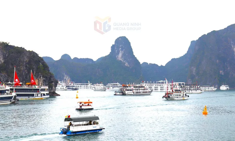 các tổ chức, cá nhân đang có hoạt động du lịch, dịch vụ trên vịnh Hạ Long phải cam kết không sử dụng, mua bán các sản phẩm từ nhựa dùng 1 lần - Ảnh baoquangninh.vn