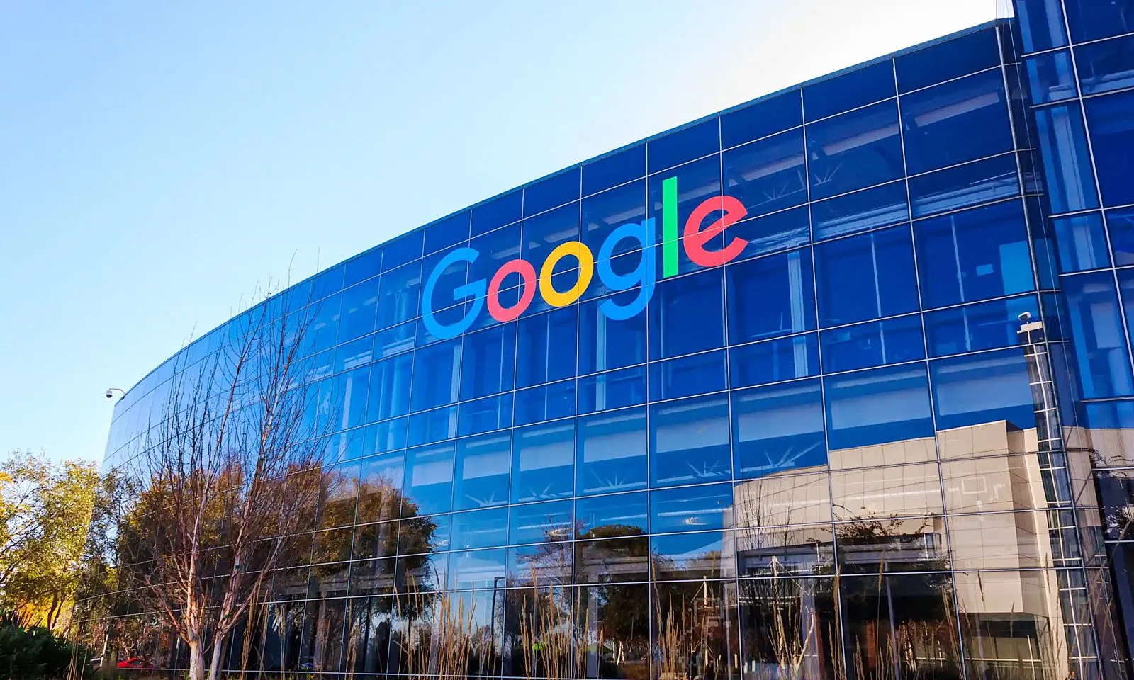google_voh