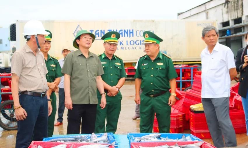 10 thuyền trưởng Bình Định bị phạt nặng vì khai thác sai quy định