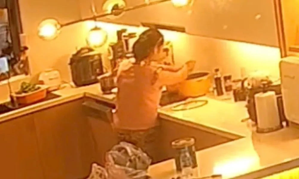 Hà Nội: Giúp việc 58 tuổi vắt nước bẩn vào nồi nước uống của gia chủ