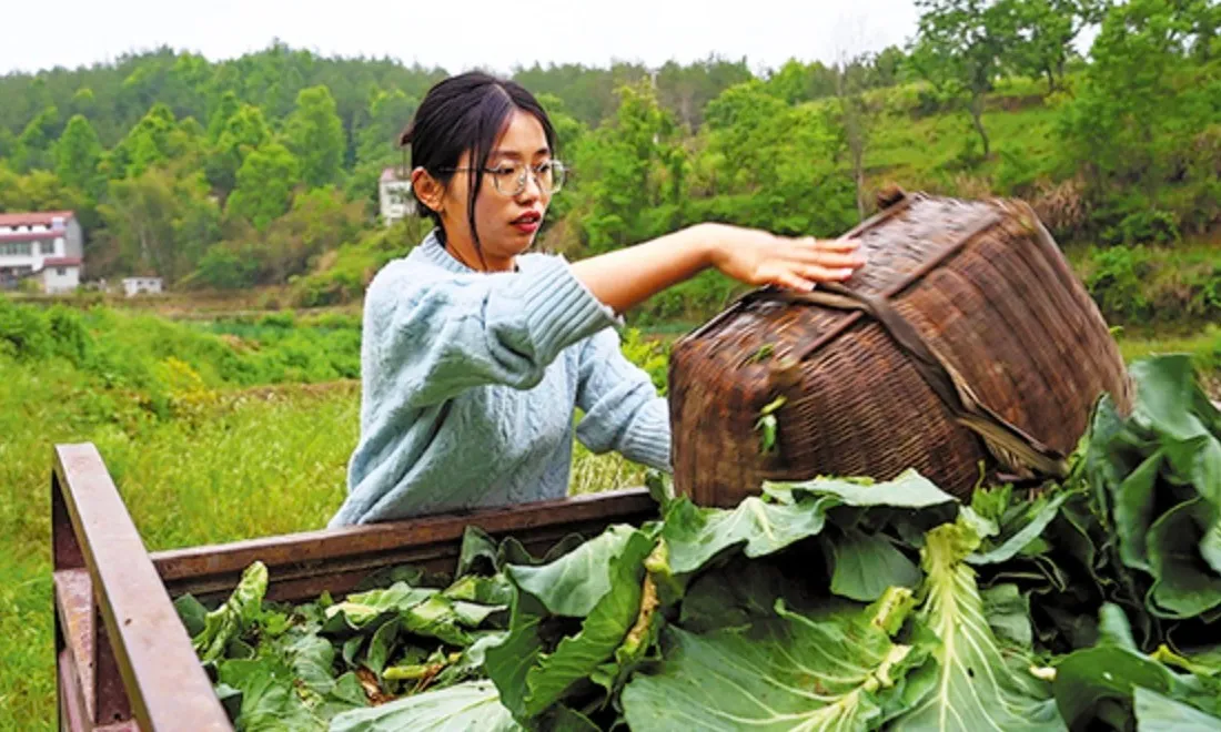 Hành trình đổi đời từ văn phòng thành thị đến trại heo quê nhà của nữ cử nhân 9x Trung Quốc