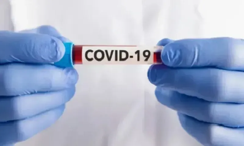 TPHCM phát hiện biến chủng NB.1.8.1 chiếm đa số ca mắc Covid-19 gần đây  