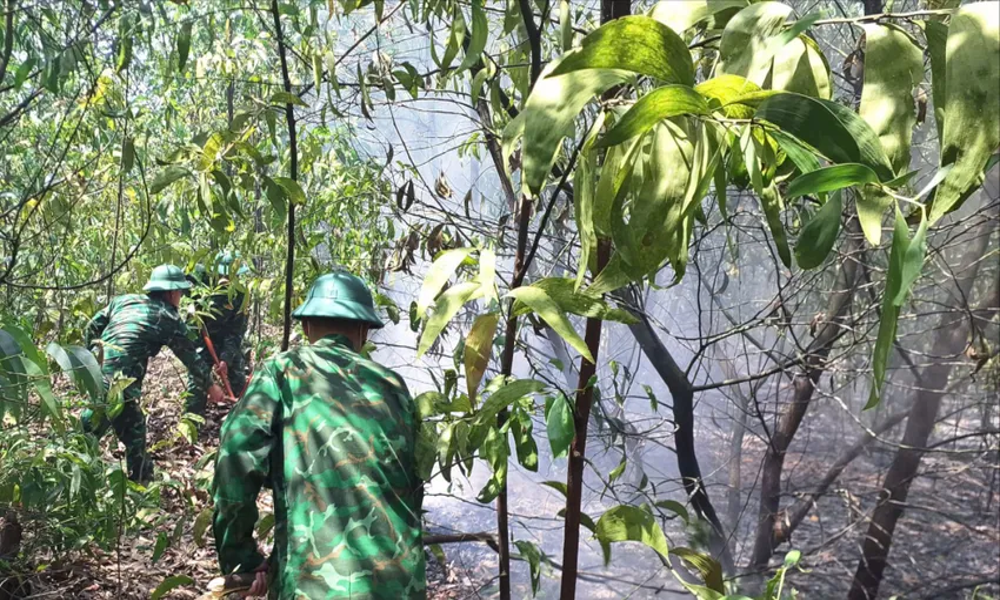 Lực lượng chức năng và dân làng căng mình dập lửa rừng  Triệu Phong