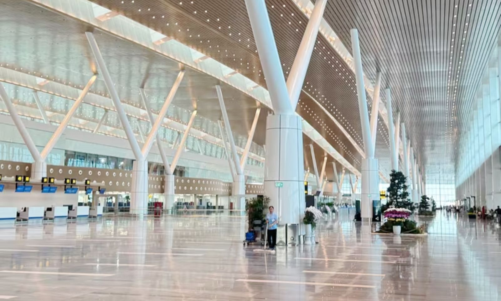 Xác định nguyên nhân vụ nước mưa dột tại nhà ga T3 Tân Sơn Nhất