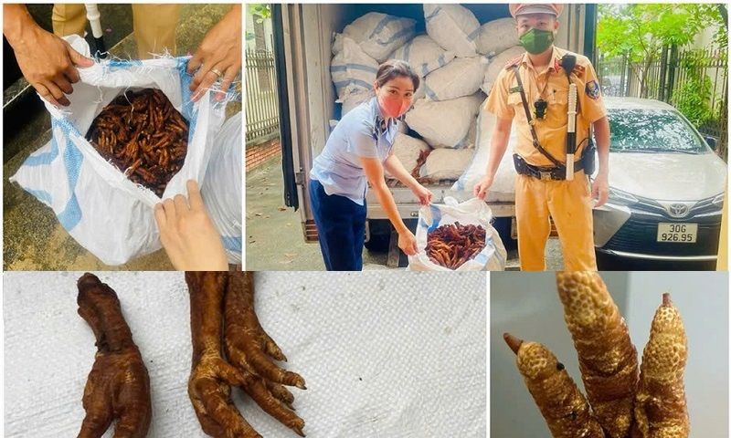 Hà Nội phát hiện và thu giữ 1,4 tấn chân gà chế biến không rõ nguồn gốc