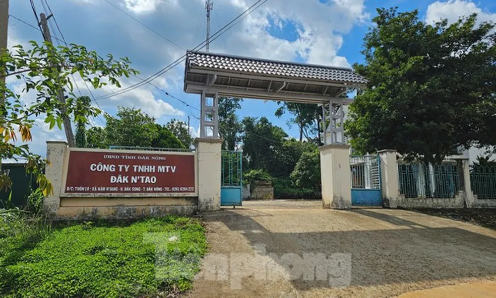 nam-dinh-triet-xoa-duong-day-danh-bac-ca-do-bong-da-khoang-100-ty-dong-5931-1090.jpg