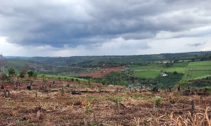  Cán bộ bảo vệ rừng bị tấn công khi ngăn phá rừng