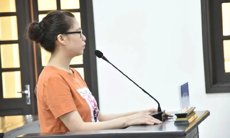 Giáo viên mầm non lĩnh án 9 năm tù vì lừa đảo hơn 1,7 tỷ đồng tiền hụi