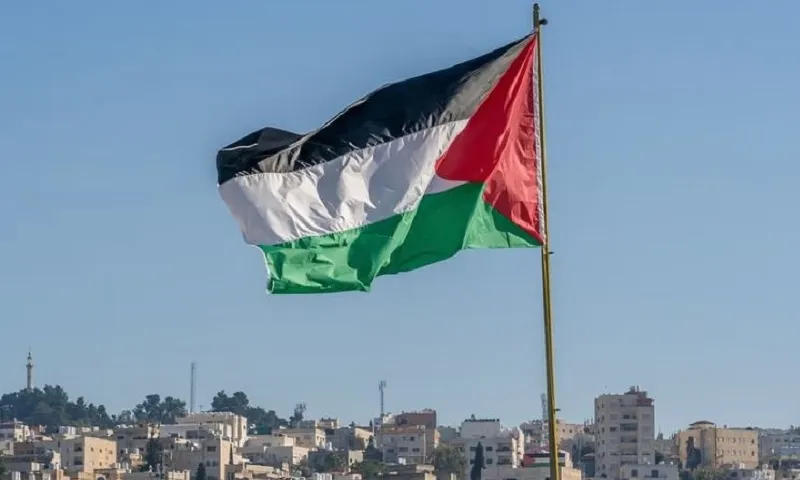 Cờ Palestine - Ảnh iStock