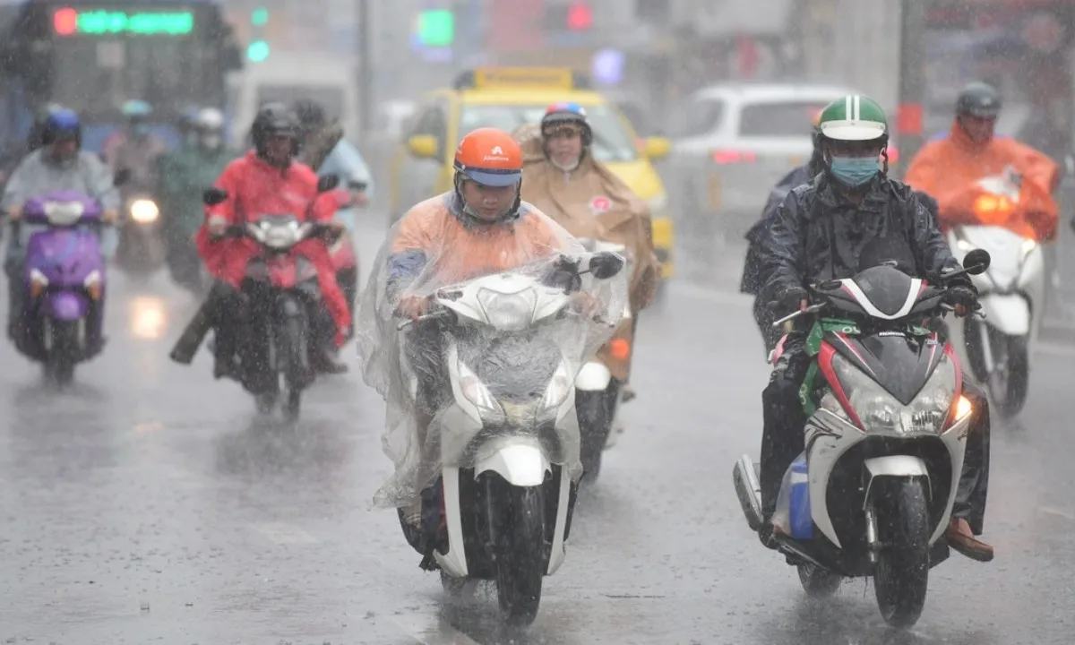 mua-to-quang-dinh-16886349145041535815555-77-0-1124-2000-crop-1747630022631673821340