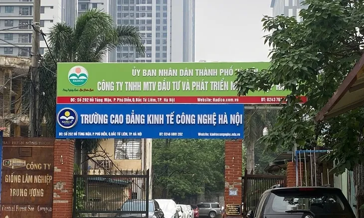 tam dung