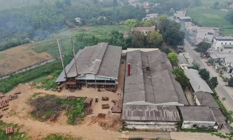 yen bai