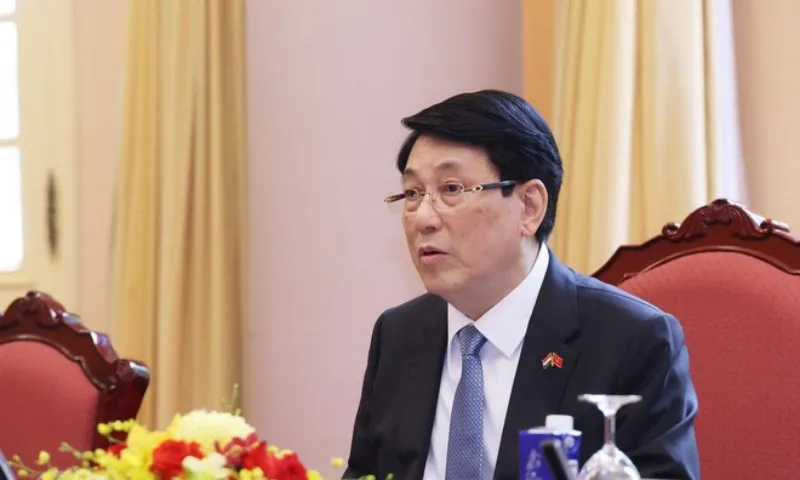 chu-tich-nuoc-luong-cuong-hoi-dam-voi-tong-thong-hungary-8059126-3