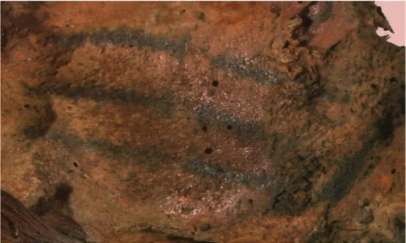 Phát hiện xác ướp 800 năm tuổi với hình xăm kỳ lạ trên mặt