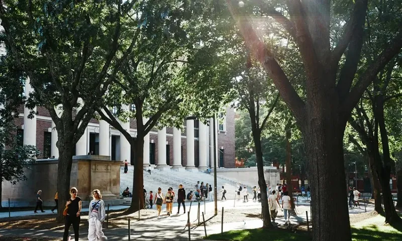 Khuôn viên ĐH Harvard ở TP Cambridge, bang Massachusetts (Mỹ) - Ảnh SIMON SIMARD - BLOOMBERG