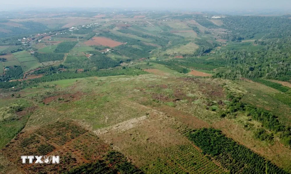 Điều tra vụ Phó Giám đốc công ty bảo vệ rừng bị đánh gãy xương giữa rừng ở Đắk Nông