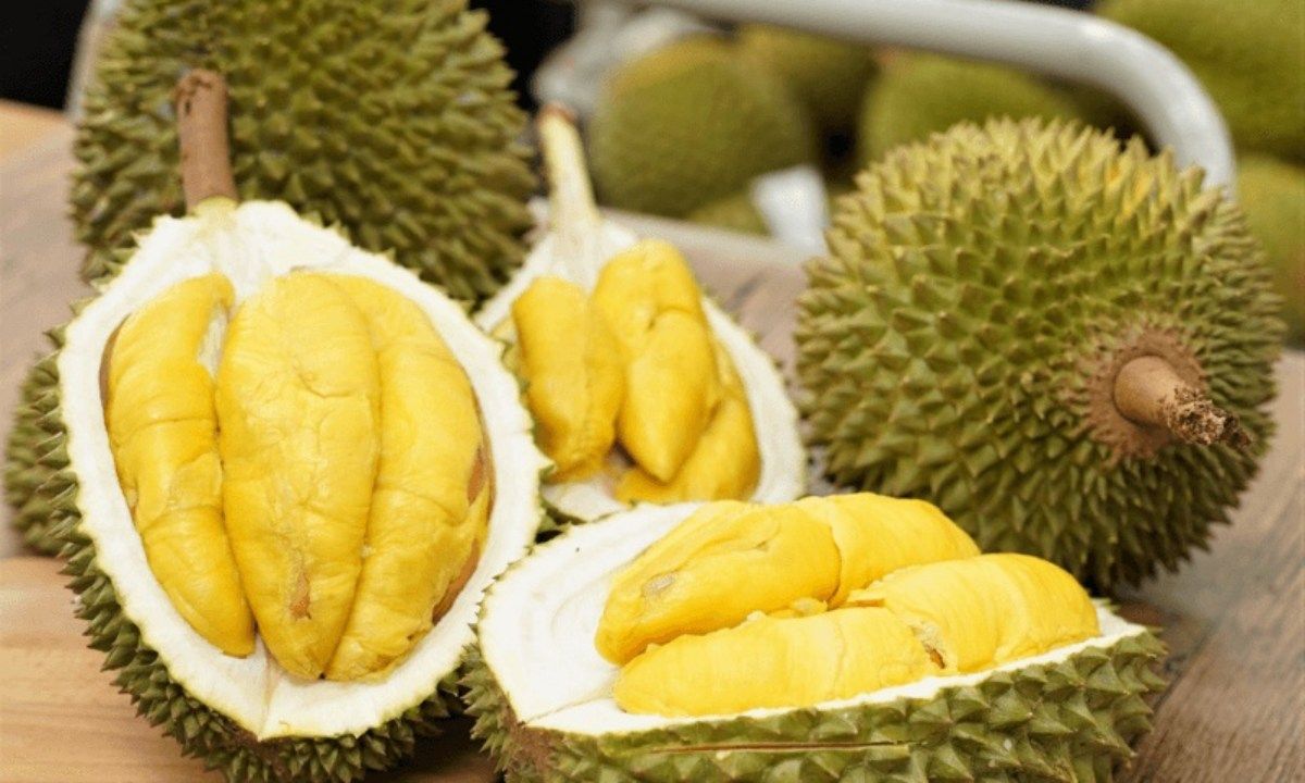 Vụ sầu riêng bị trả về: Vinacam tố dấu hiệu bất thường trong phân bón Hàn Quốc