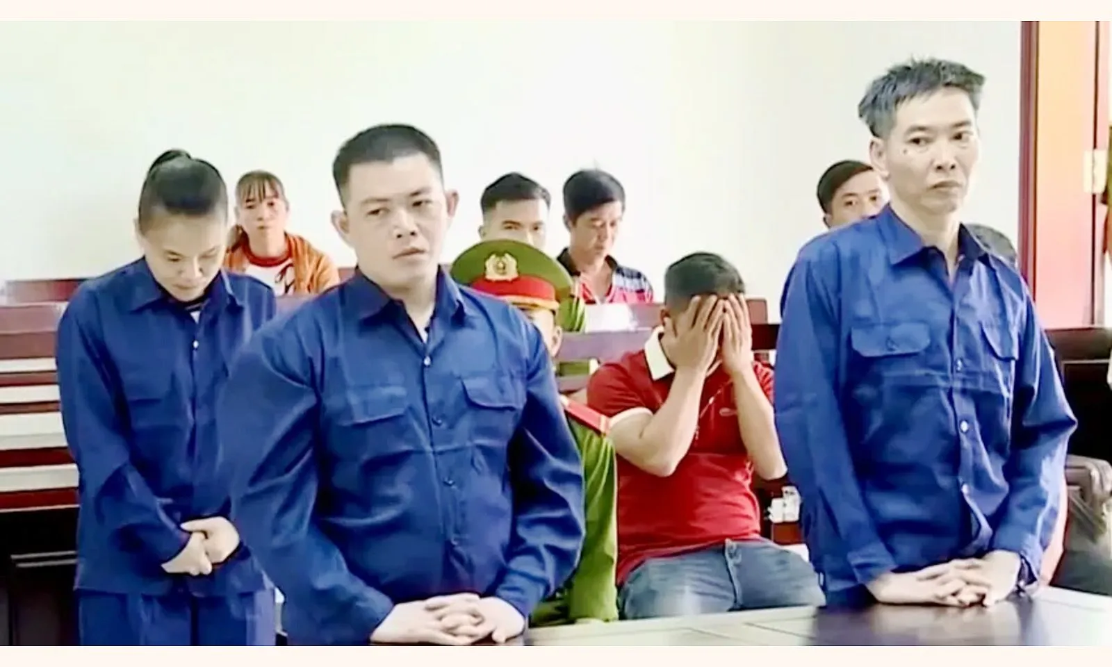 Giả vờ hỏi mua rồi đào trộm cây mai tiền tỉ trong đêm