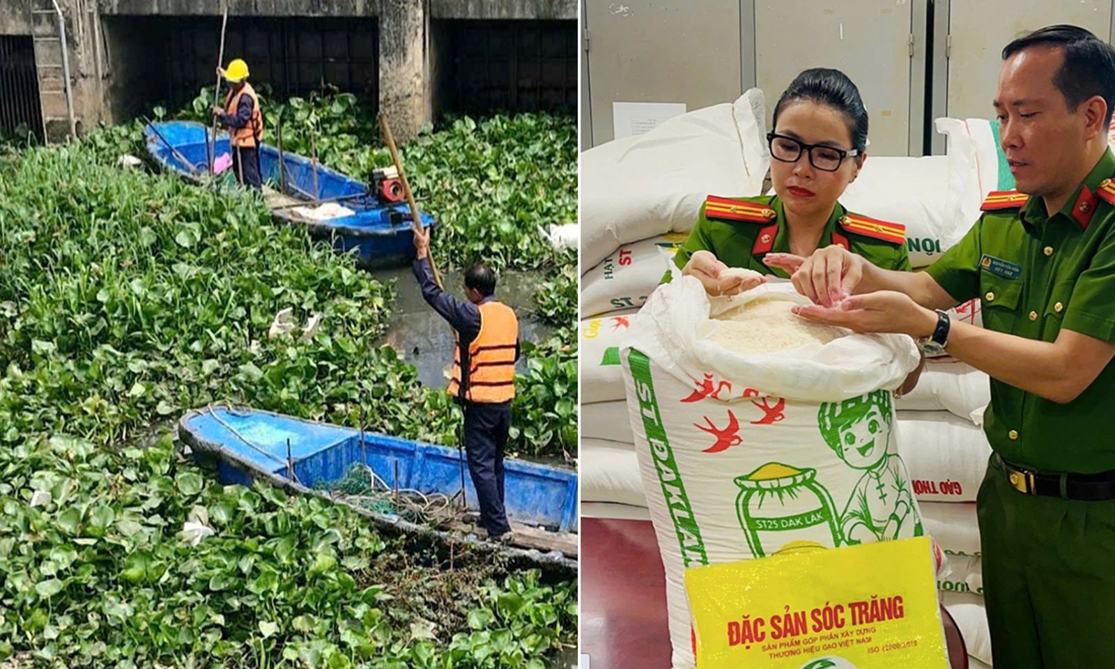 Điểm tin chiều 29/5: Lục bình phủ kín kênh Nhiêu Lộc | Hơn 17 tấn gạo ST25 giả bị bán ra thị trường