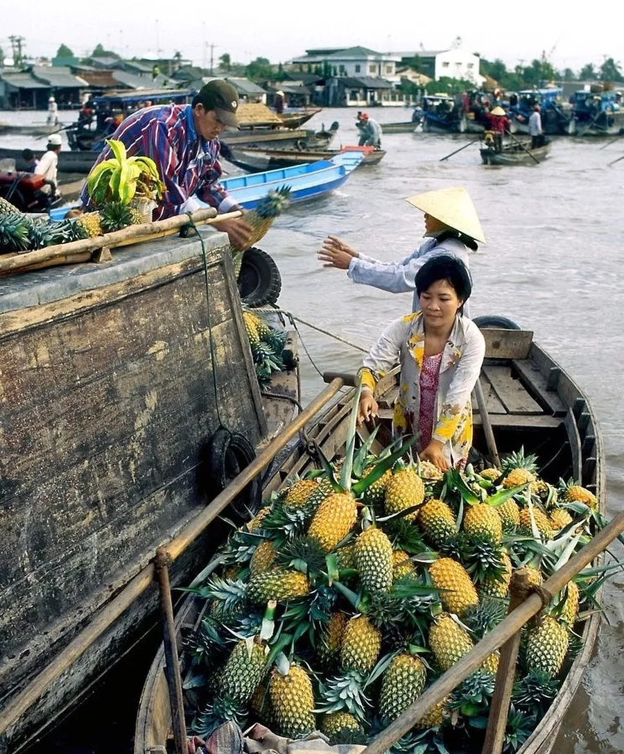 du lịch miền Tây-5