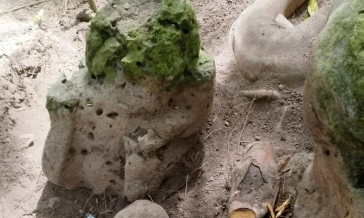 Phát hiện thành phố Maya 2.800 năm tuổi ở Guatemala