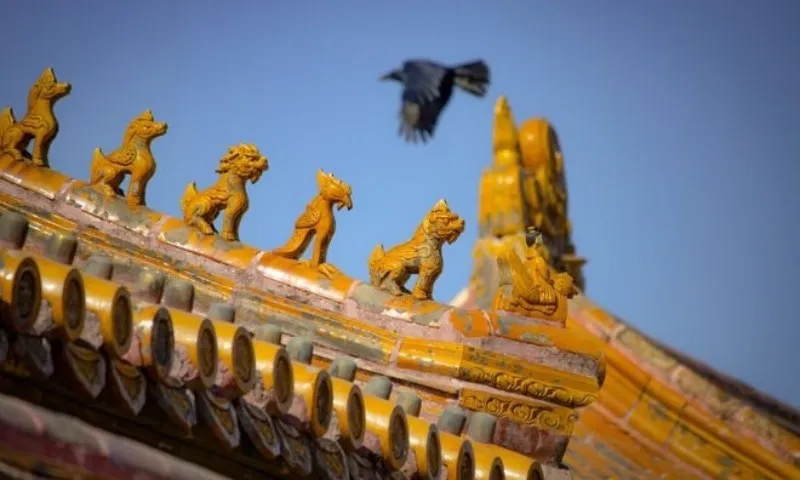 vi-sao-sau-23h-tu-cam-thanh-lai-hut-day-qua-den-48692