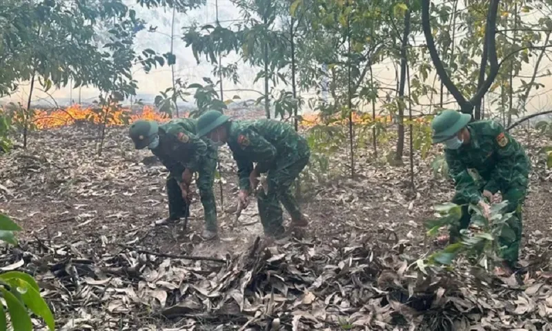 Cháy rừng bộ đội dập lửa