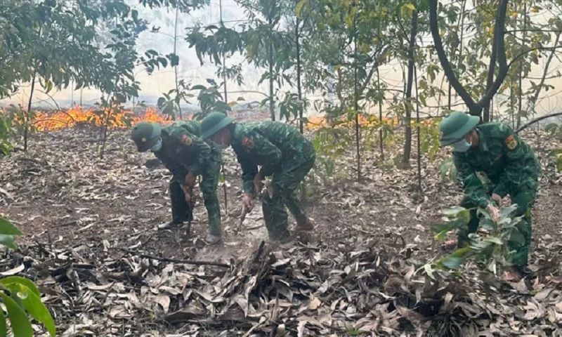 Cháy rừng tại Huế giữa trưa nắng gắt, bộ đội biên phòng và người dân kịp thời dập lửa