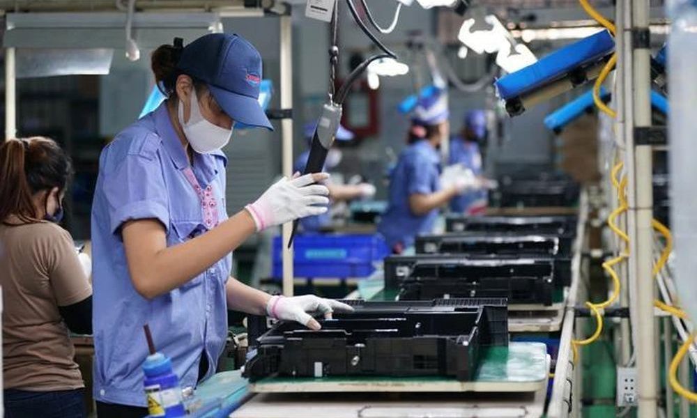 Chủ động nguyên liệu để giảm phụ thuộc, tăng sức cạnh tranh