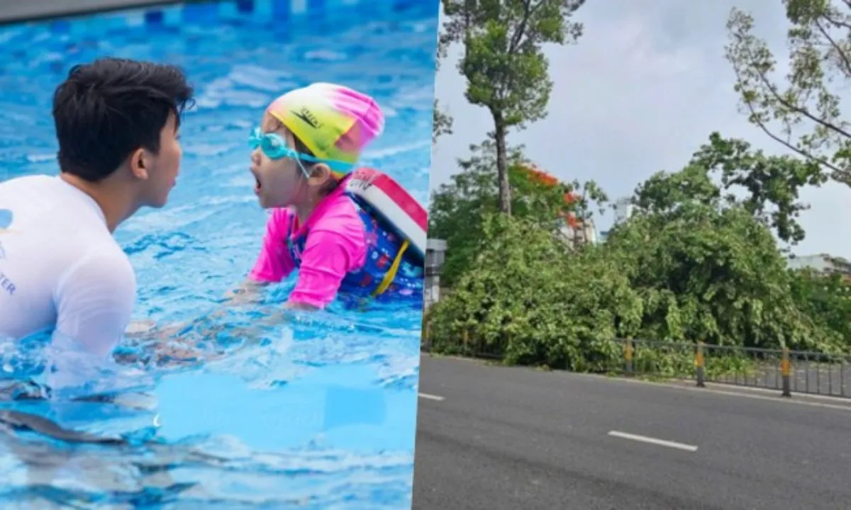 Điểm tin chiều 31/5: Tăng cường phòng chống đuối nước cho trẻ em | Cây xanh đổ đè người đi xe máy