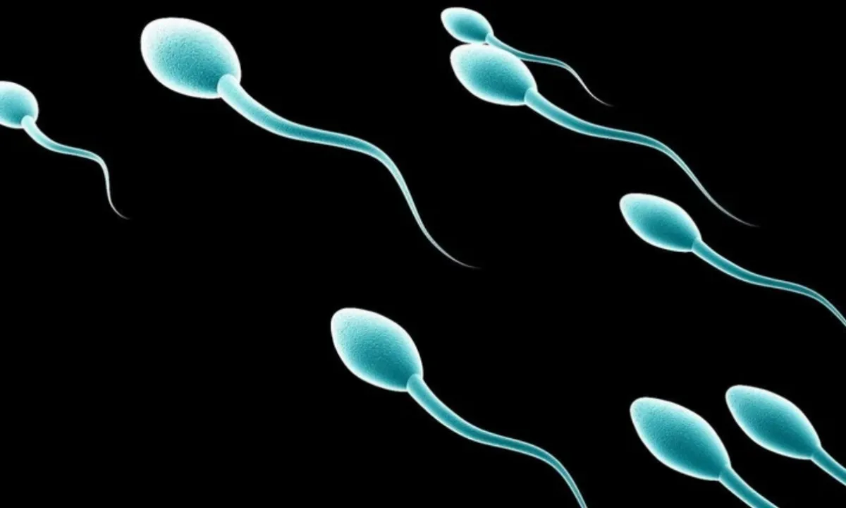 Bỉ: Người hiến tinh trùng mang gen ung thư, 52 trẻ em có nguy cơ cao