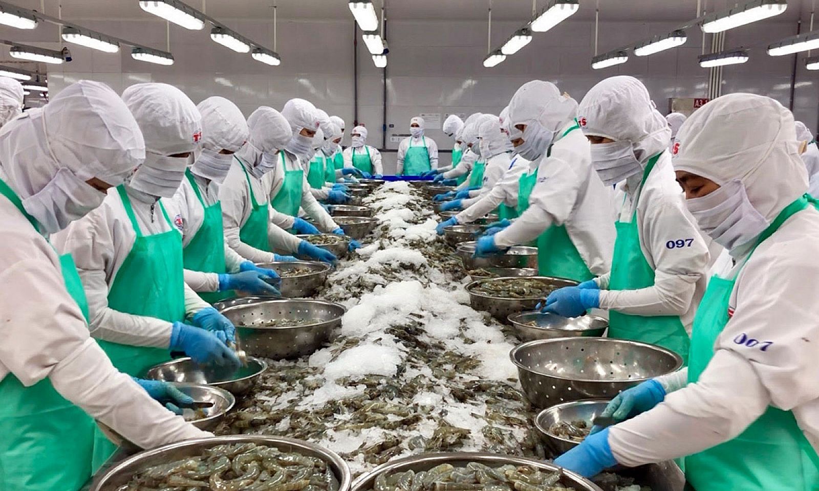 Gần 50 doanh nghiệp tìm cơ hội nhập khẩu nông sản, lâm sản, thủy sản vào Mỹ