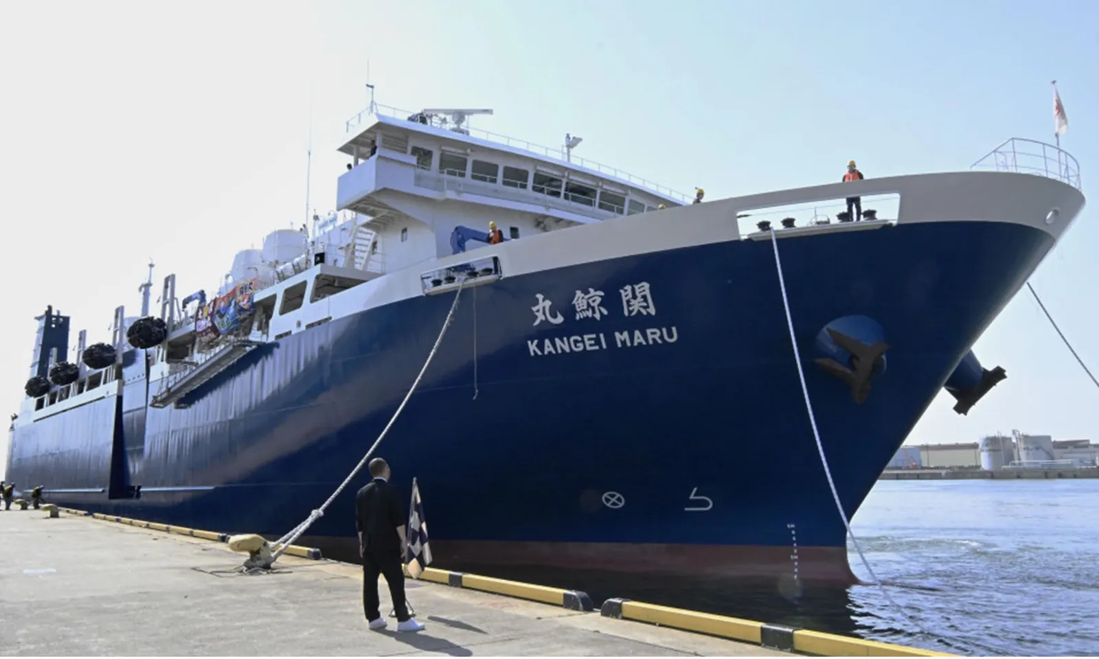 Nhật Bản săn bắt 25 con cá voi vây ở Okhotsk