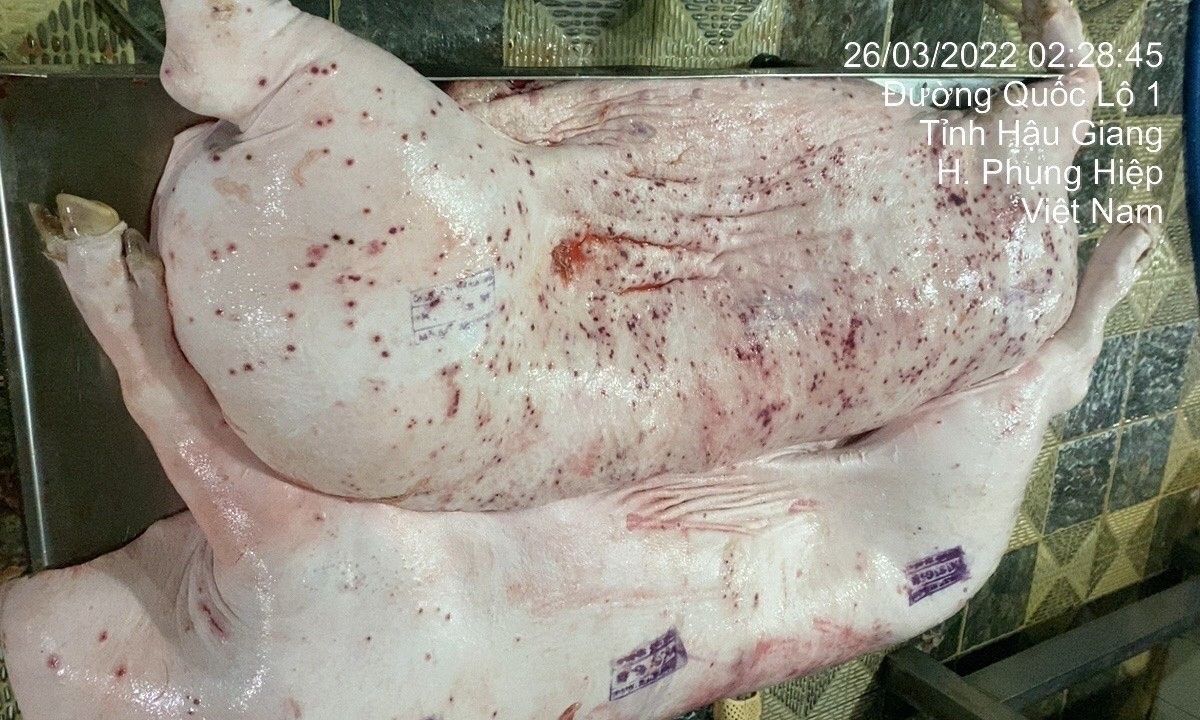  Sẽ đề nghị Bộ Công an điều tra vụ thịt heo nghi bệnh của Công ty C.P