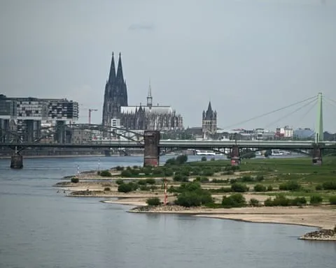 cau Rhine