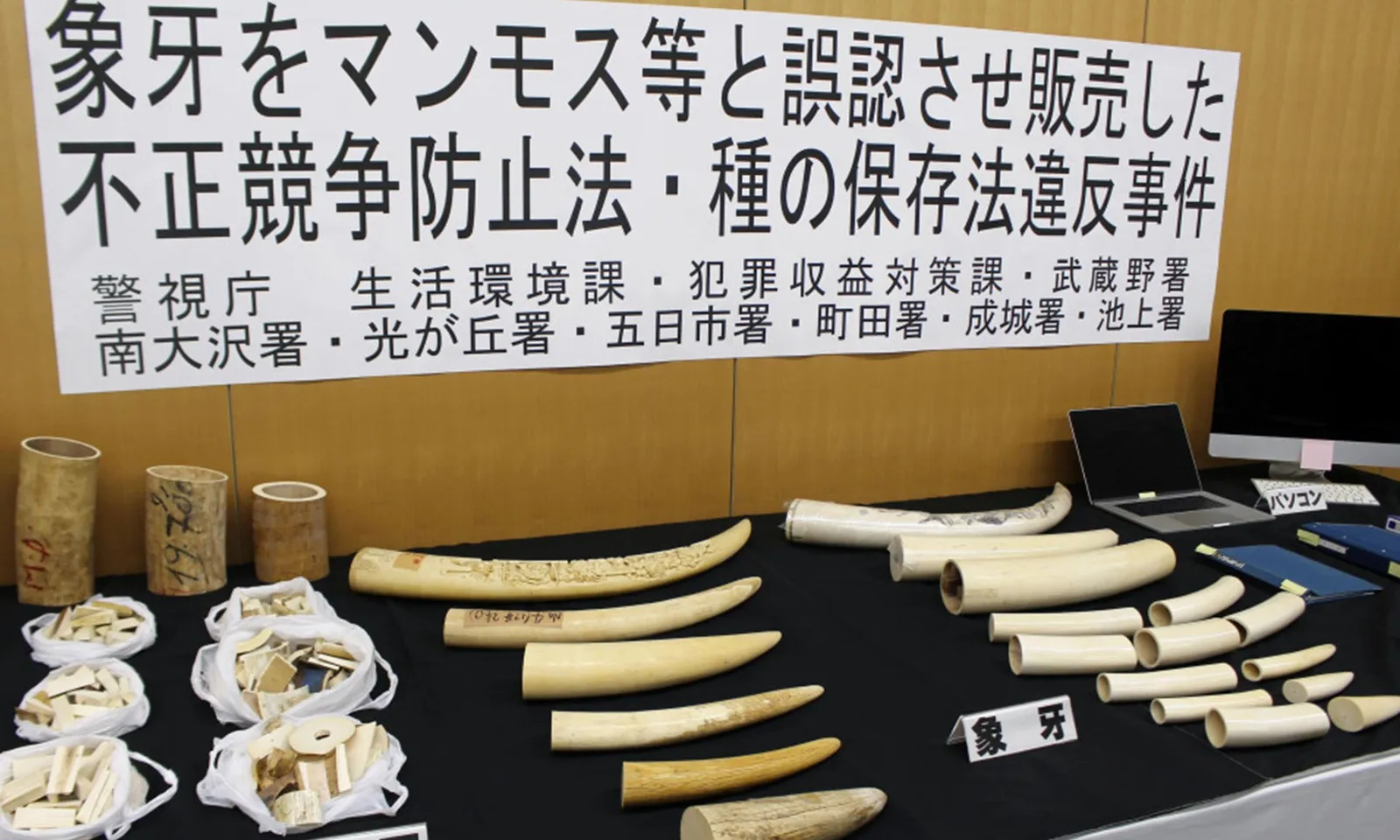 Bốn người bị bắt vì rao bán ‘ngà voi ma mút’