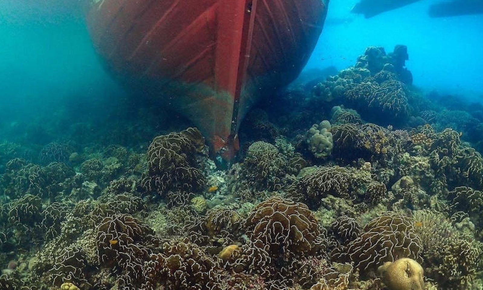 Tàu Myanmar đâm vào rạn san hô ở công viên biển Thái Lan