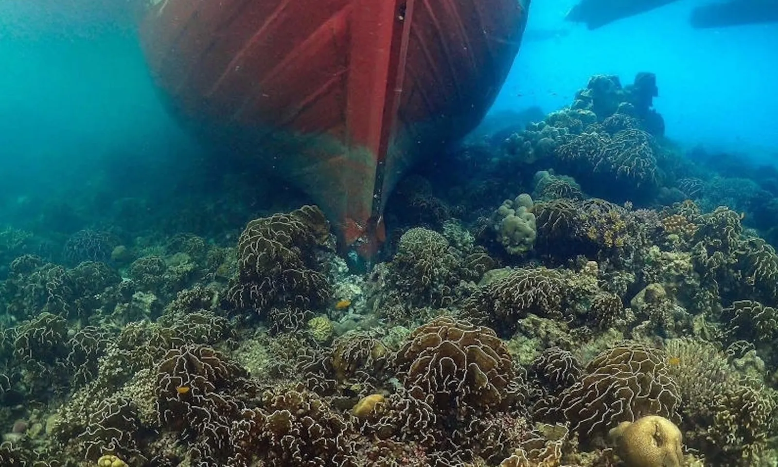 Tàu Myanmar đâm vào rạn san hô ở công viên biển Thái Lan