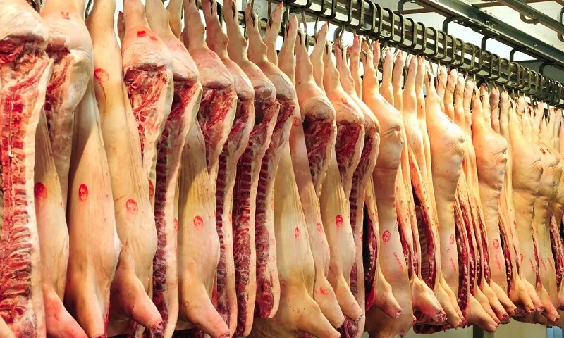 Tăng kiểm tra cơ sở giết mổ, xử nghiêm vi phạm về thú y và an toàn thực phẩm