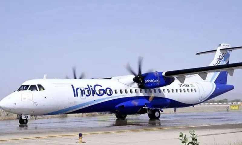 Indigo 2025