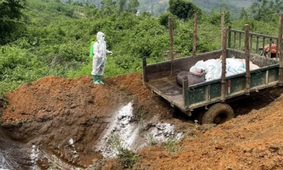 Hỗ trợ cơ sở sản xuất có động vật buộc phải tiêu hủy do dịch bệnh